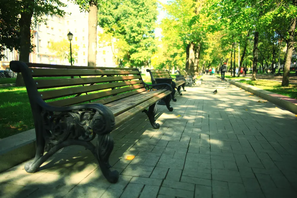 Скамейка в тенистом парке