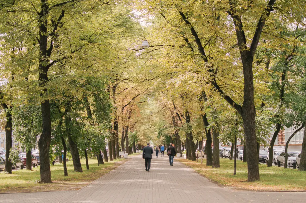 Проспект в Петербурге без туристов в сентябре