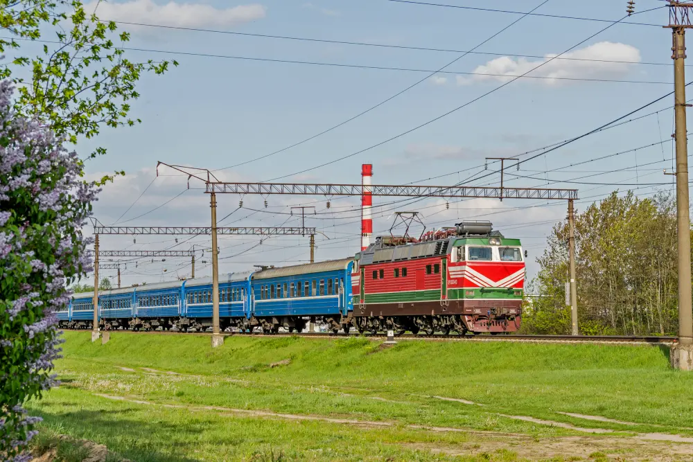 Поезд едет через лесную полосу