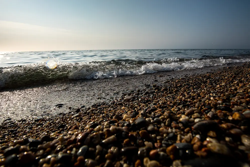 Открытый вид