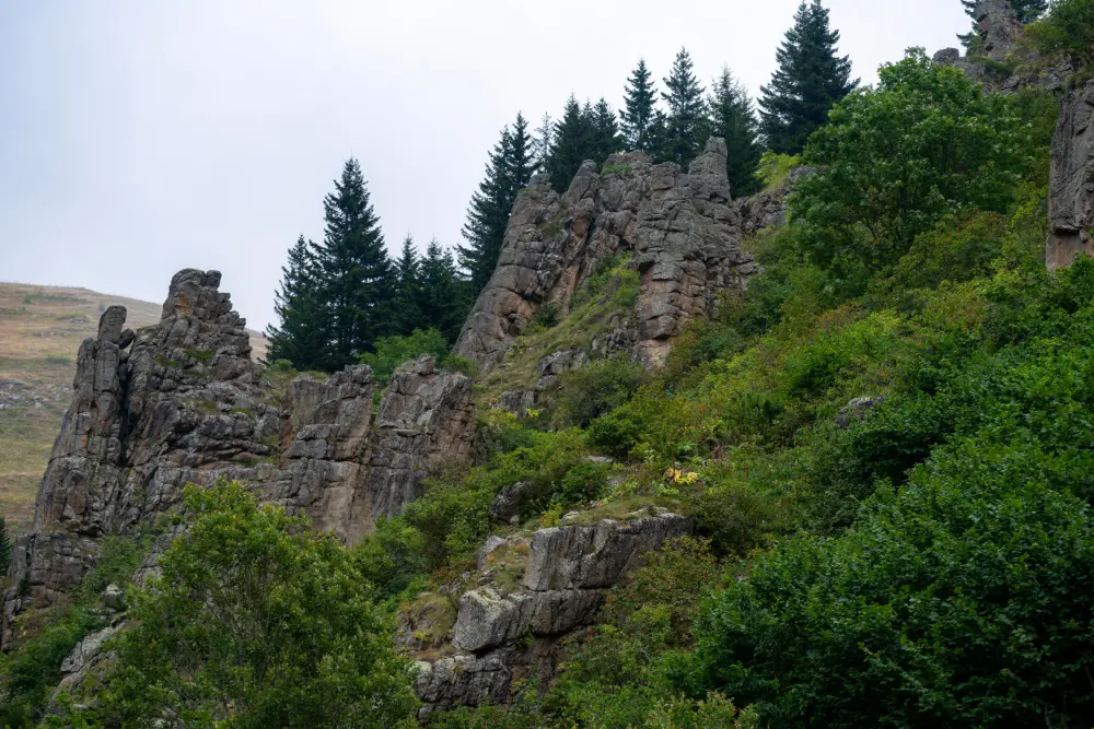 Открытый вид