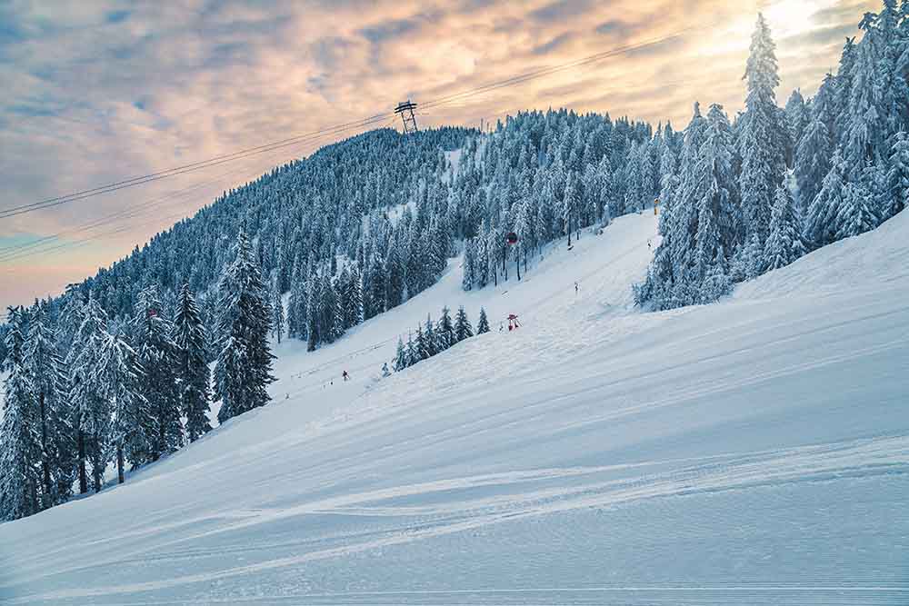 Лыжные гондолы над свежеподготовленными лыжными трассами и заснеженным лесом