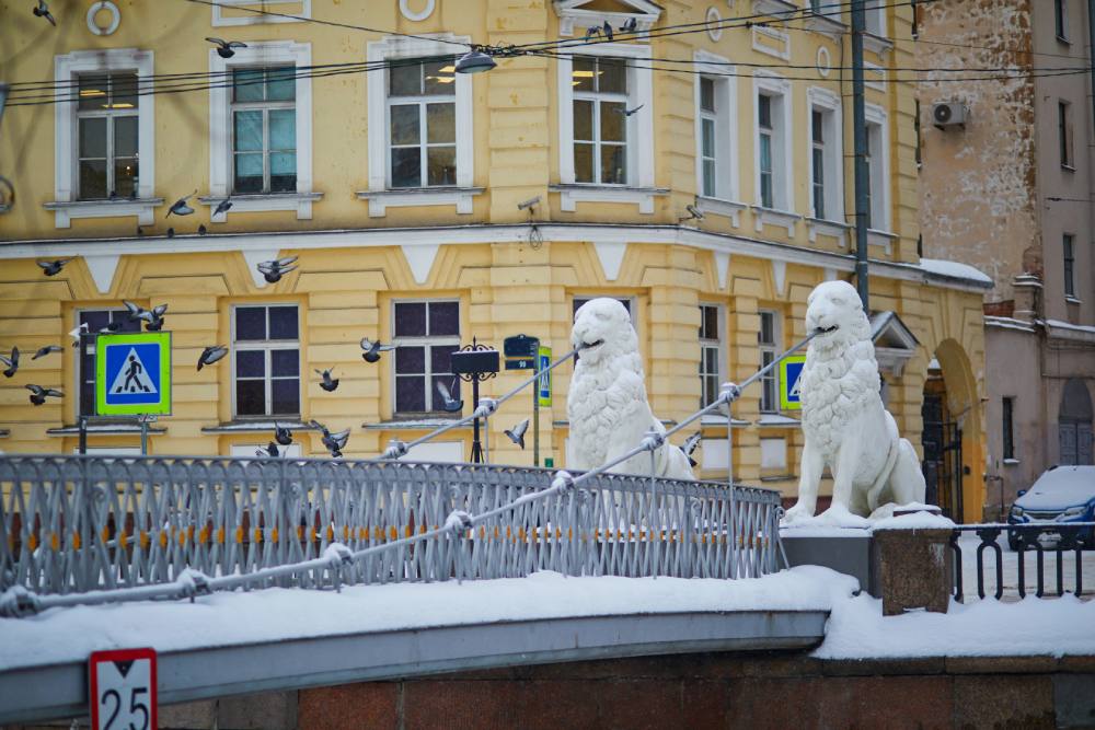 Февраль в СПБ