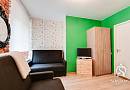 фото интерьера в стиле лофт с зелеными стенами